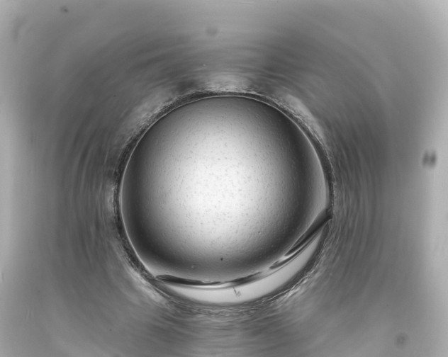 X0000094200441200711021055