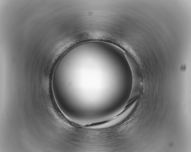 X0000094200442200711021055