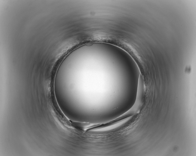 X0000094200443200711021055