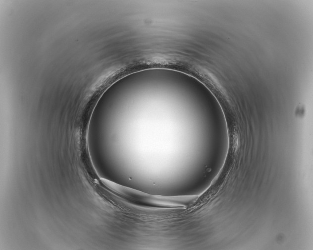 X0000094200444200711021055