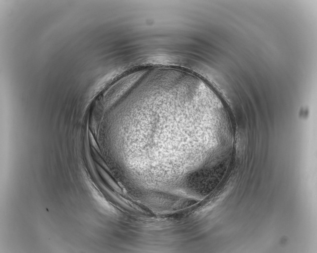 X0000094200445200711021055
