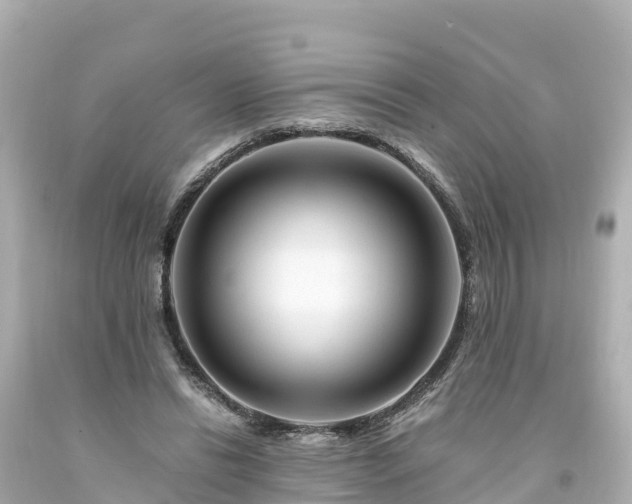 X0000094200446200711021055