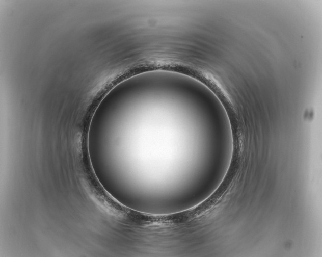 X0000094200447200711021056