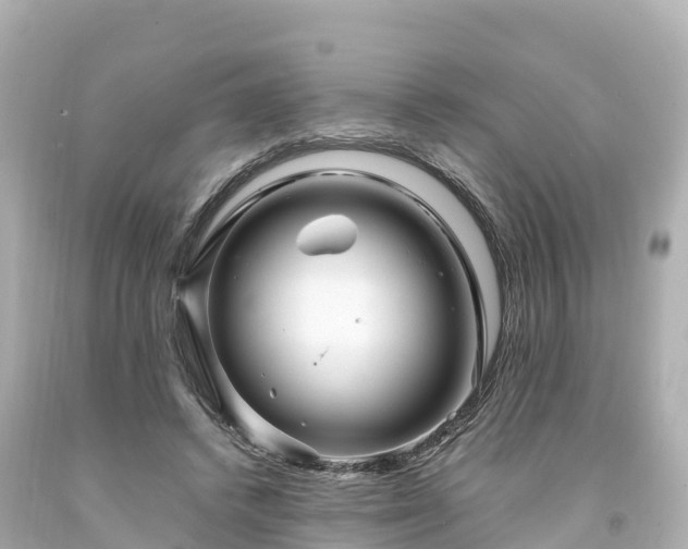 X0000094200448200711021056