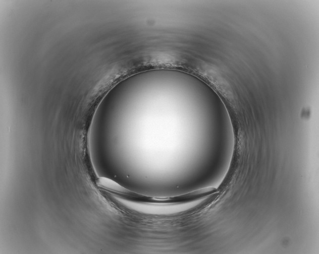 X0000094200449200711021056