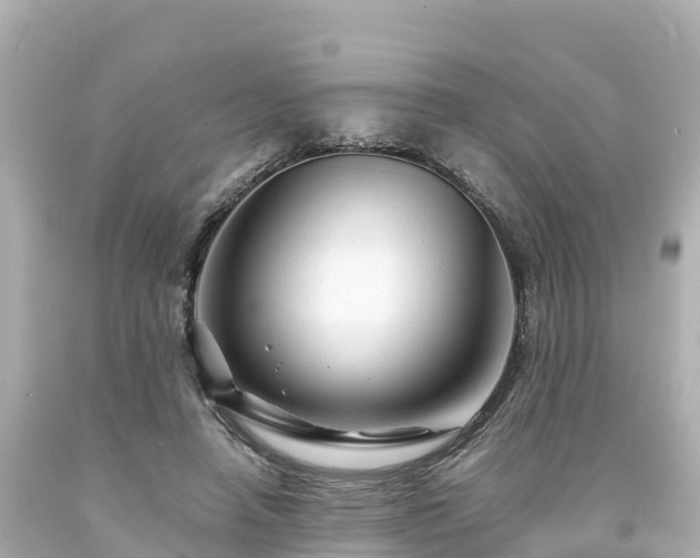 X0000094200450200711021056