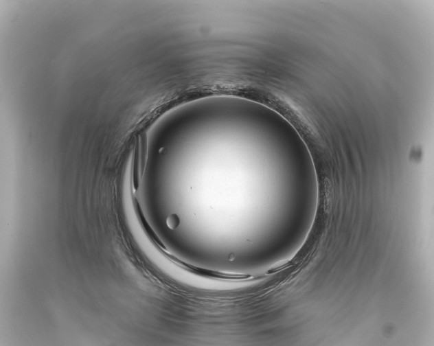 X0000094200451200711021056