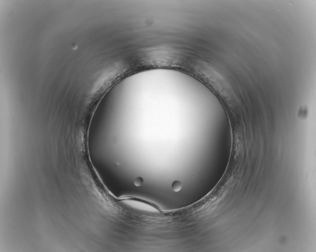 X0000094200453200711021056