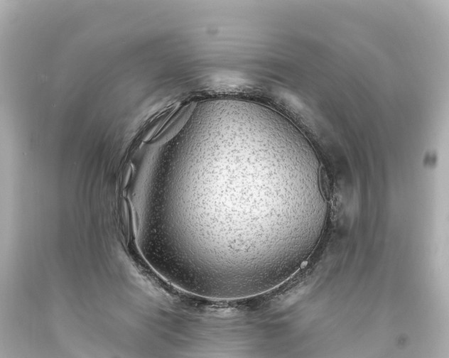 X0000094200454200711021056