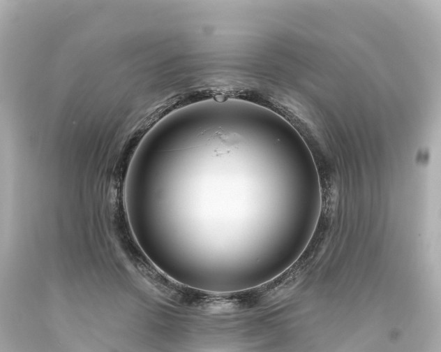 X0000094200456200711021056