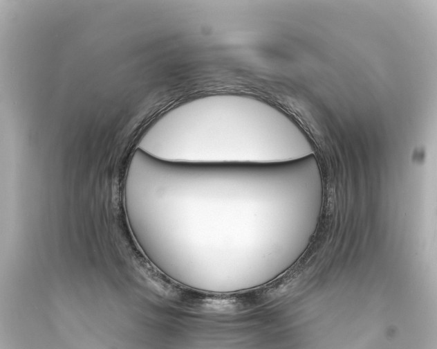 X0000094200457200711021056