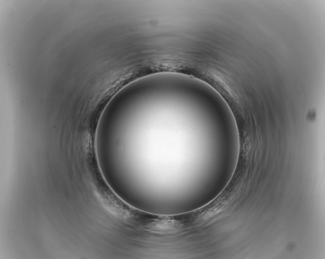 X0000094200459200711021056