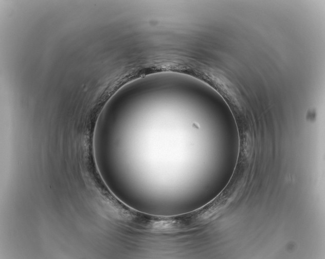 X0000094200461200711021056
