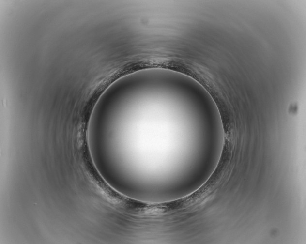 X0000094200462200711021056