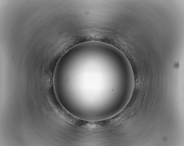 X0000094200464200711021056