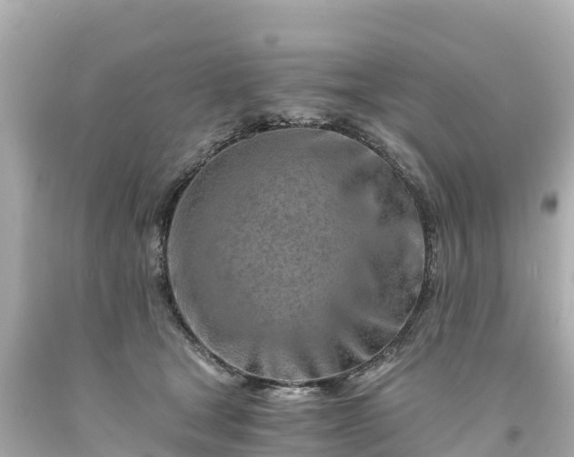 X0000094200465200711021056