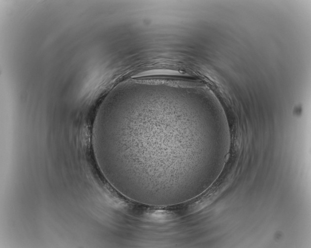 X0000094200467200711021056