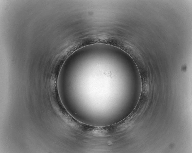 X0000094200468200711021056