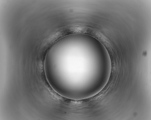 X0000094200469200711021056