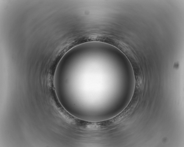 X0000094200470200711021056