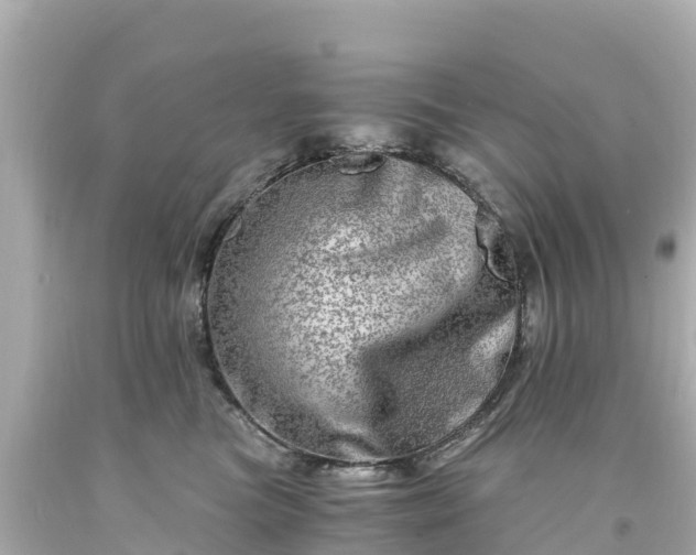 X0000094200473200711021056