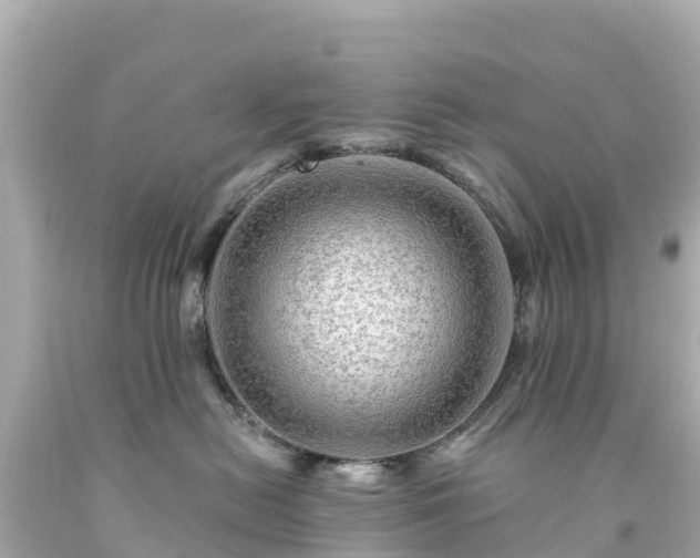 X0000094200478200711021056