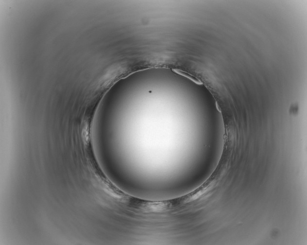 X0000094200479200711021056