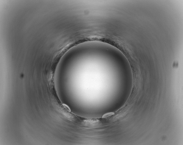 X0000094200480200711021056
