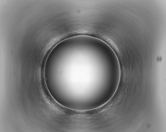 X0000094200482200711021055
