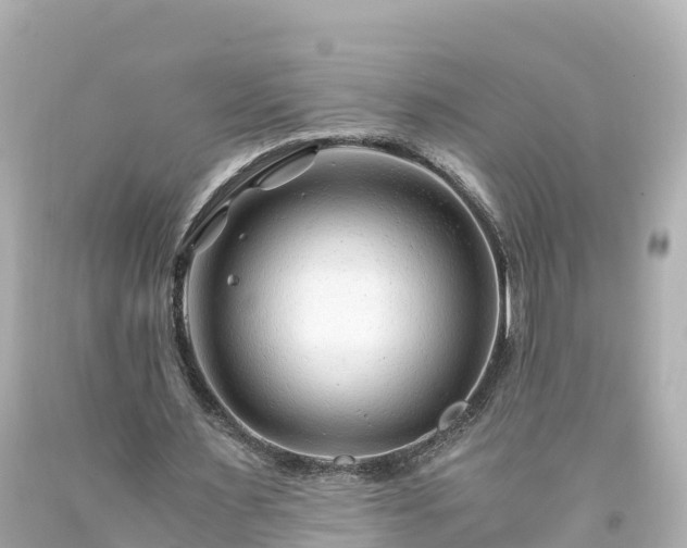X0000094200483200711021055