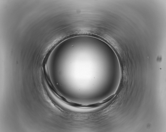X0000094200485200711021055