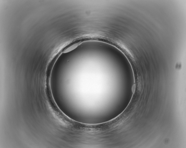 X0000094200486200711021055