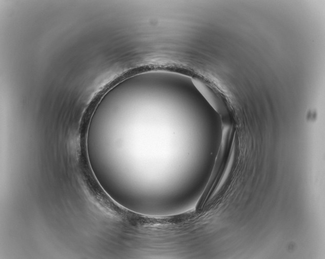 X0000094200488200711021055