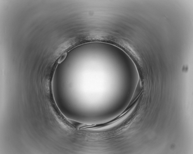 X0000094200489200711021055