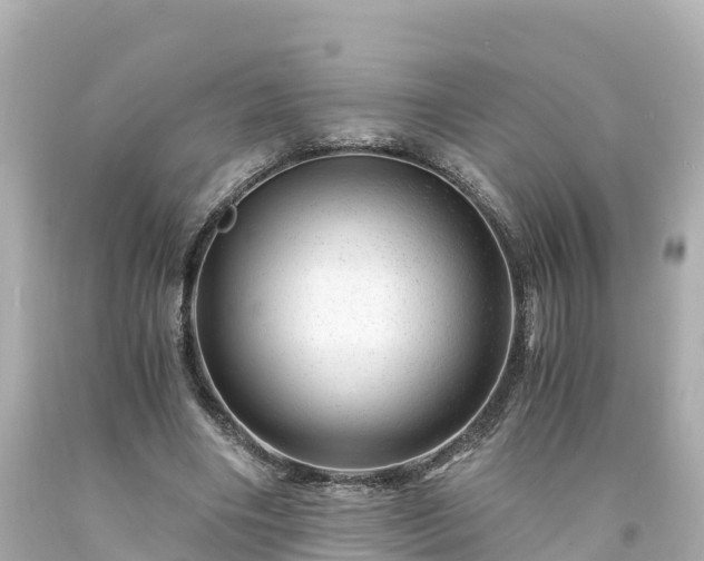 X0000094200490200711021055