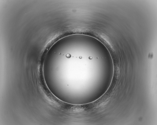 X0000094200491200711021055