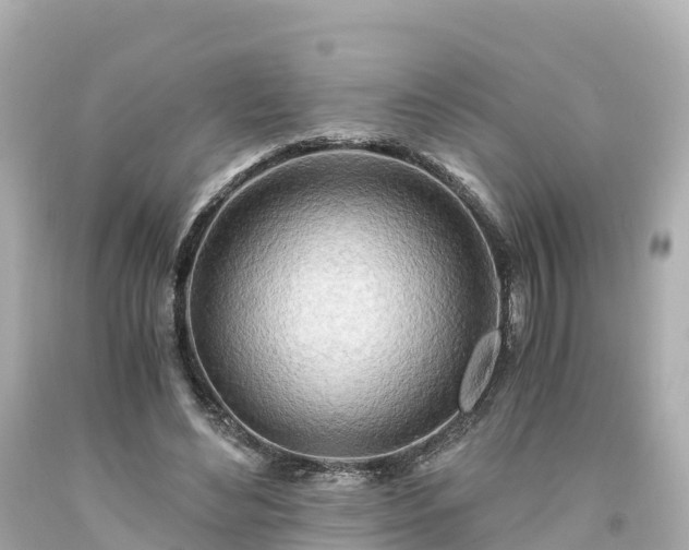 X0000094200492200711021055