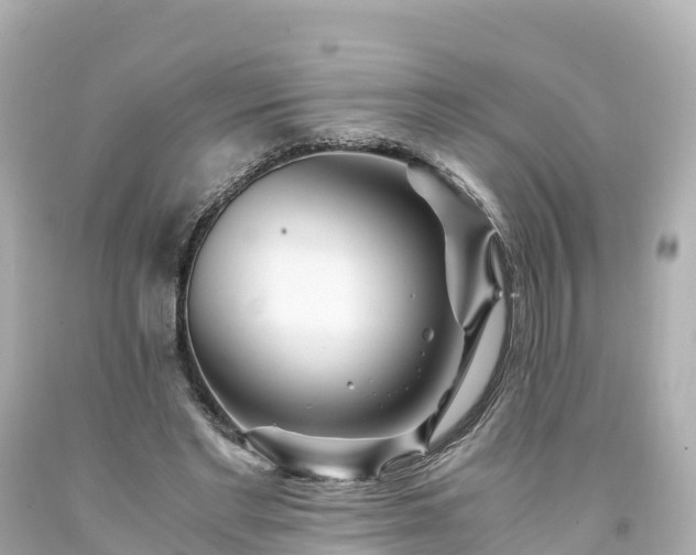 X0000094200493200711021055