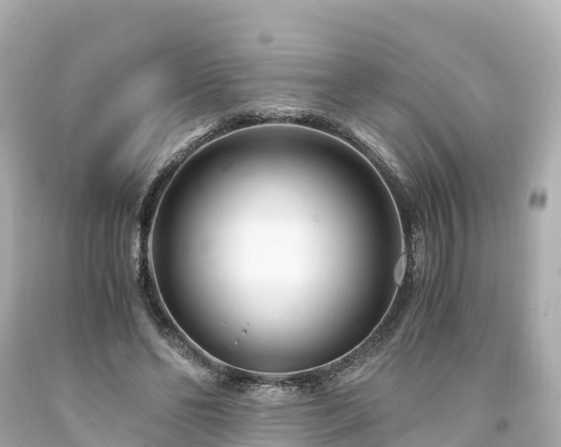 X0000094200494200711021055