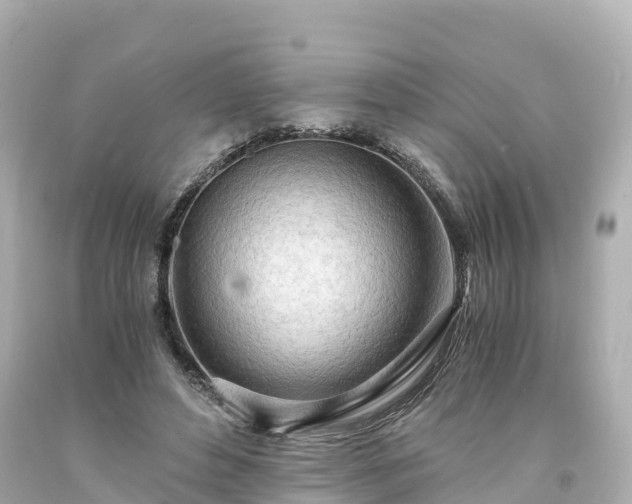 X0000094200496200711021055