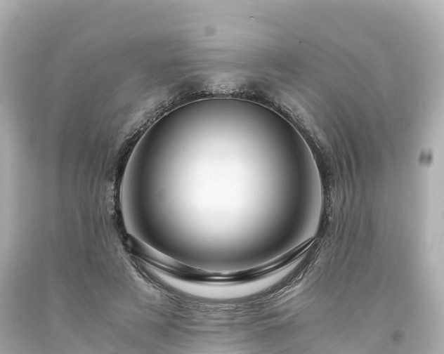 X0000094200497200711021055