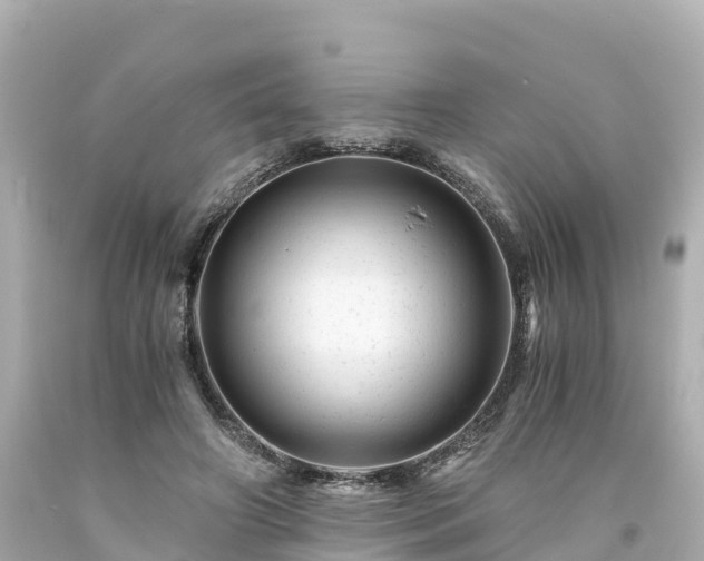 X0000094200498200711021055