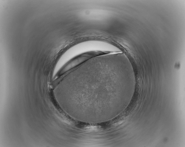 X0000094200499200711021055