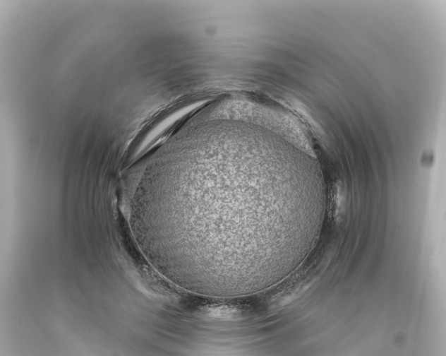X0000094200500200711021055