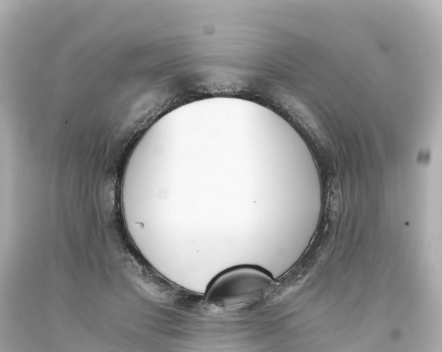 X0000094200501200711021055