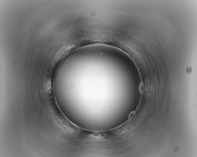 X0000094200502200711021055