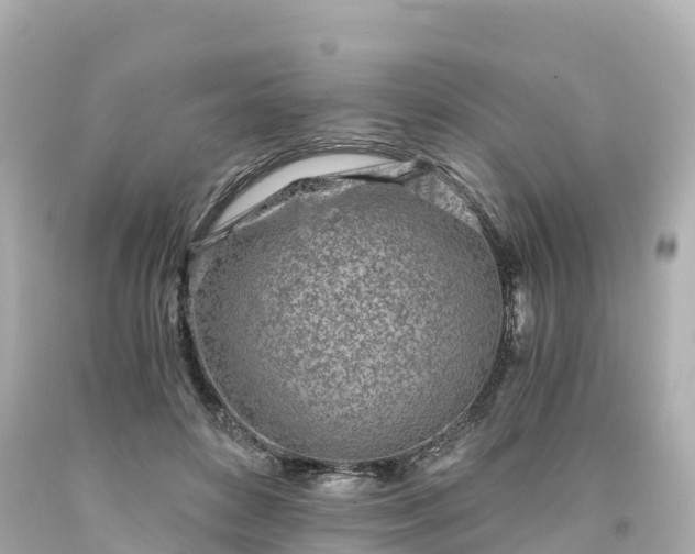 X0000094200504200711021055