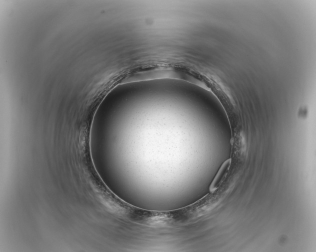 X0000094200505200711021055