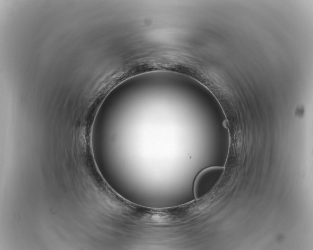 X0000094200506200711021055