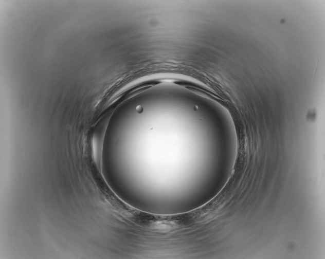 X0000094200508200711021055